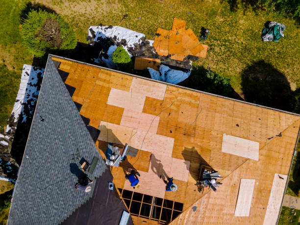 Best Roof Waterproofing Services  in Slocom, AL